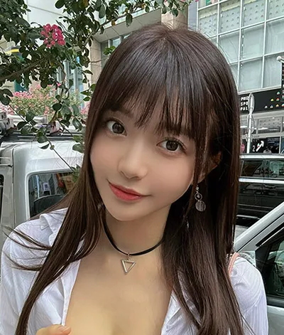 长夜灯火 热播电视剧全集免费观看